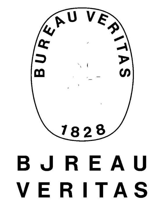 Logo Bureau Veritas